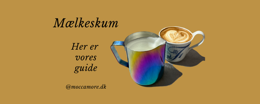 Vores guide til det perfekte mælkeskum