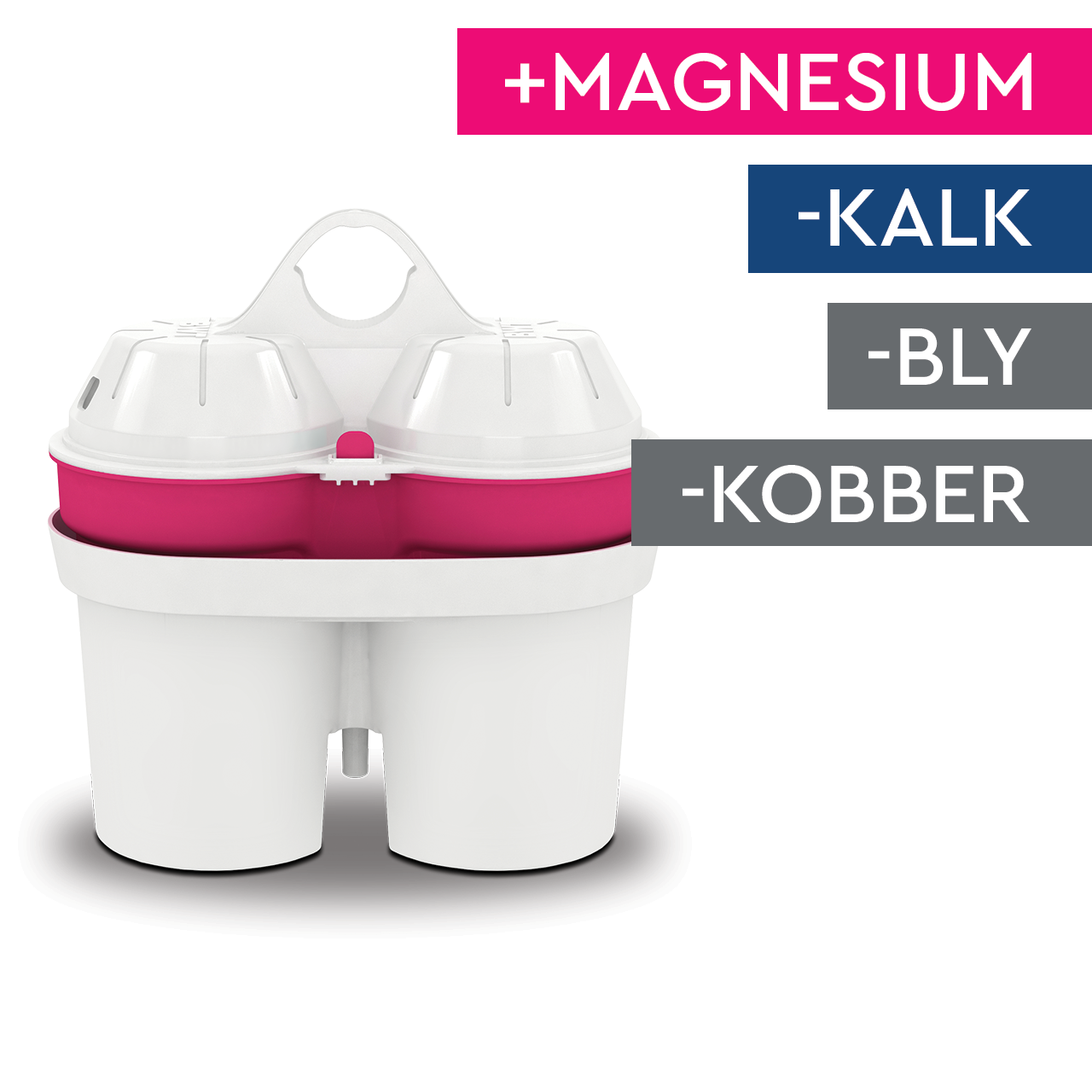 BWT AQUAlizer Home filterkande (inkl. 1 magnesium filter)